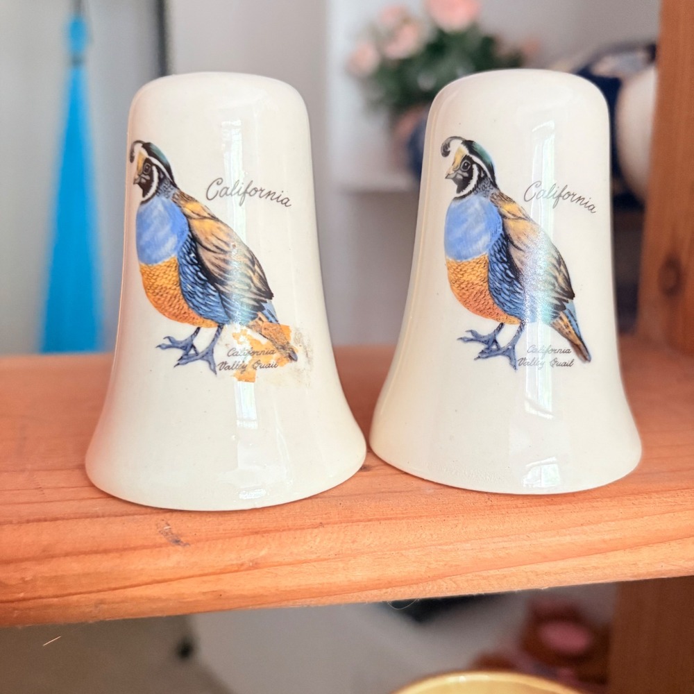 Vintage California Valley Quail Ceramic Salt and Pepper Shakers Set Bell Shape